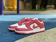  Nike Dunk Low Archeo Pink (W)  DD1503-111 - 2