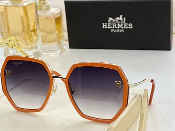 Hermes sunglasses - 8161 