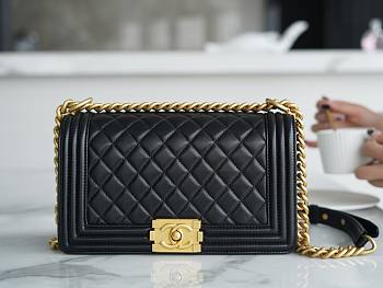 combo LV Wave bag + Chanel le boy black+ LV brown wallet